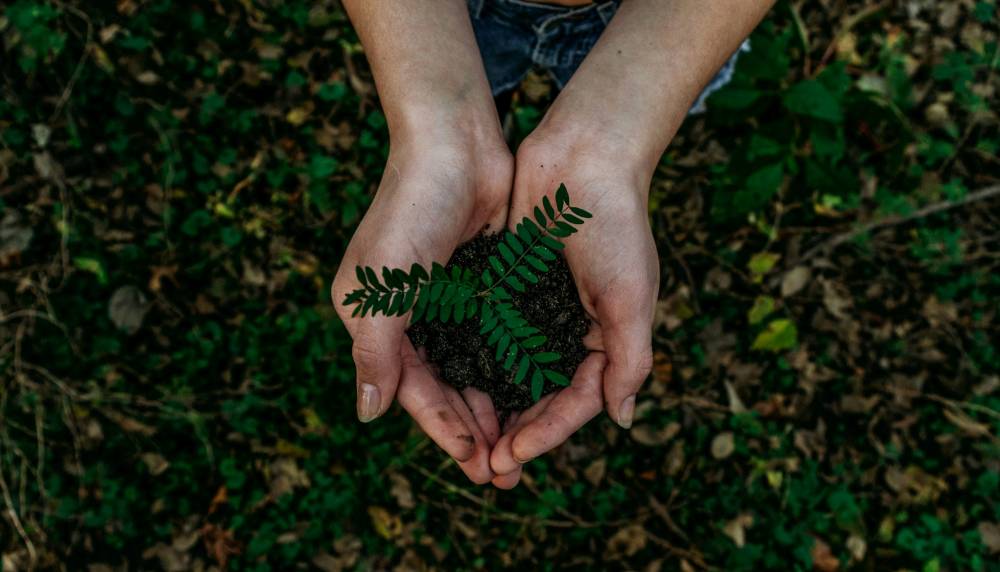 © Pexels